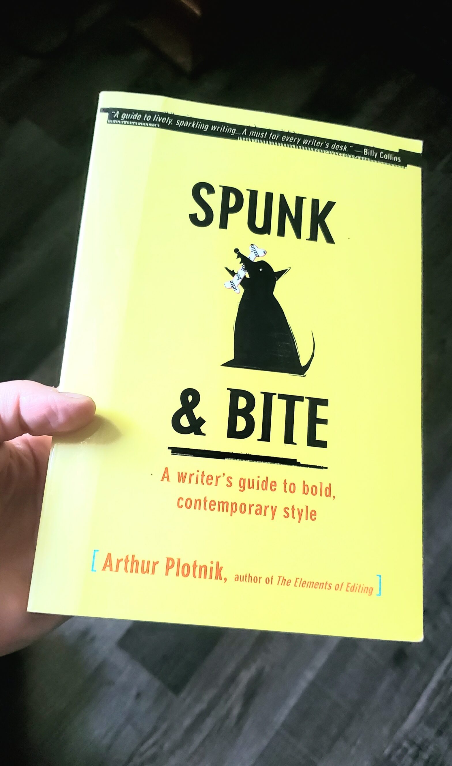 Spunk & Bite (A craft novel review)